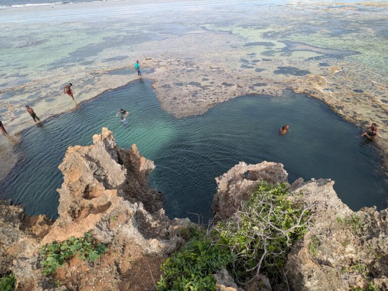 African Pool Tiwi from Top